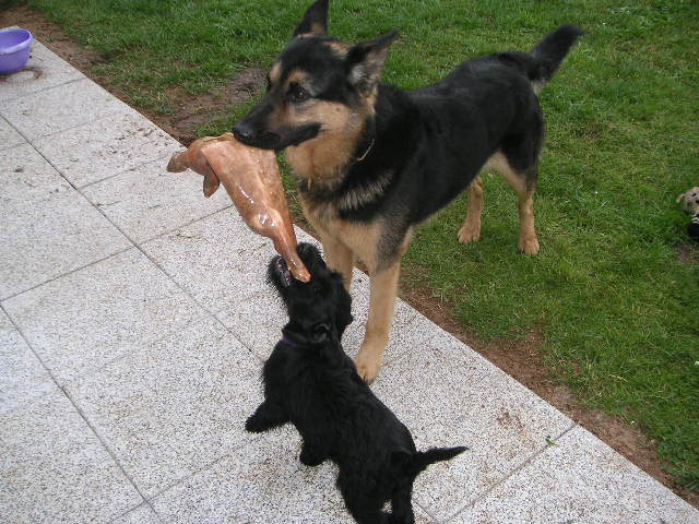 Bild 007.jpg